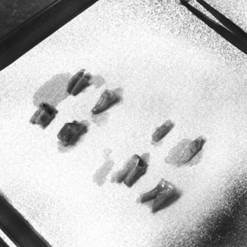 toothtray.jpg