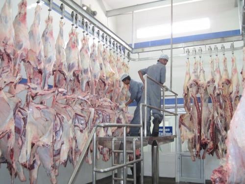 butcher-1.jpg
