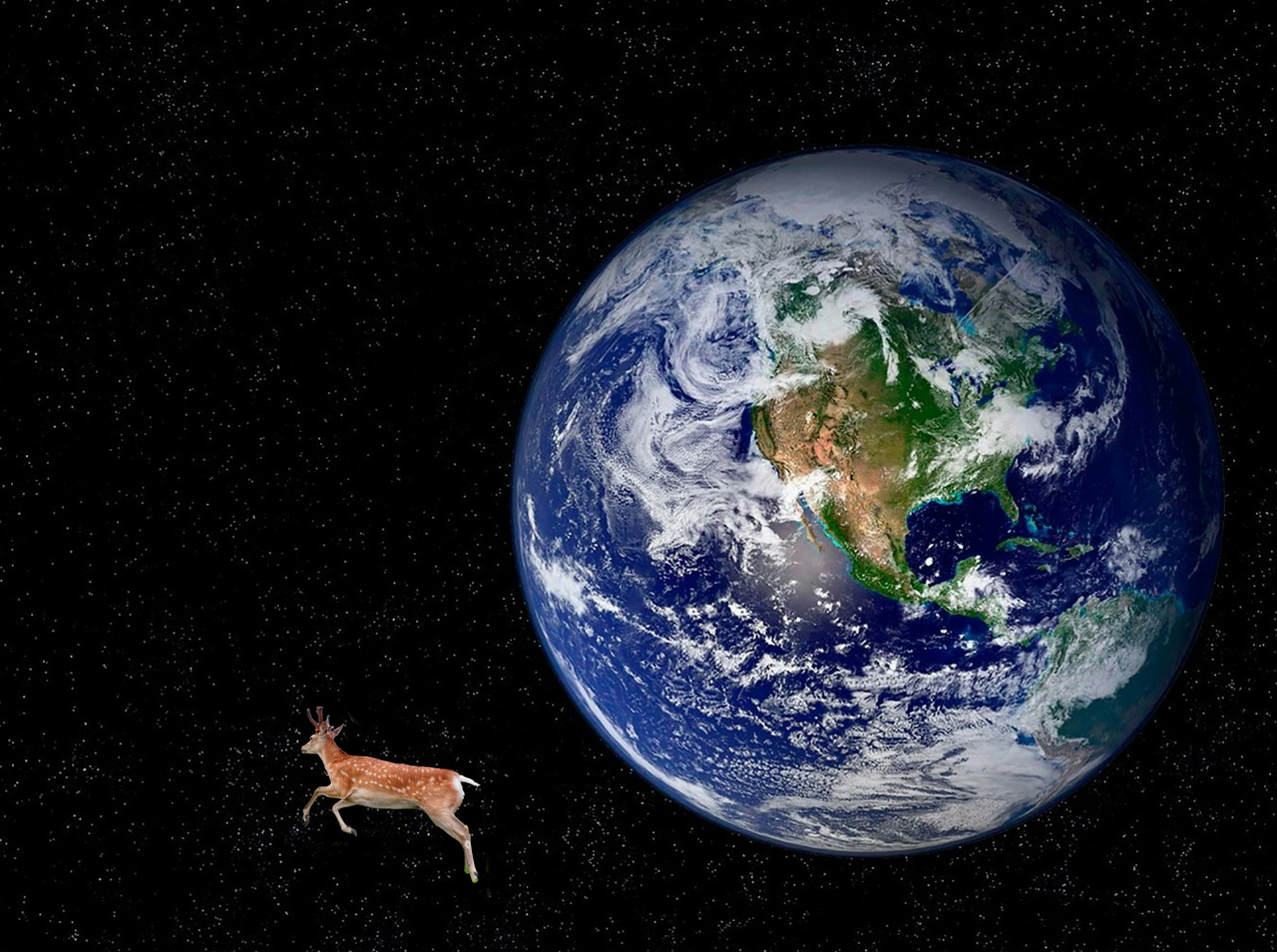 space_deer.jpg