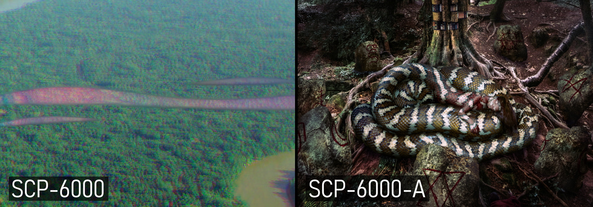 6k.jpg