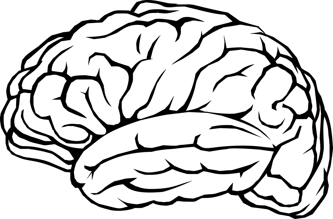 brain-one-side