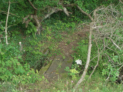 footpath.png