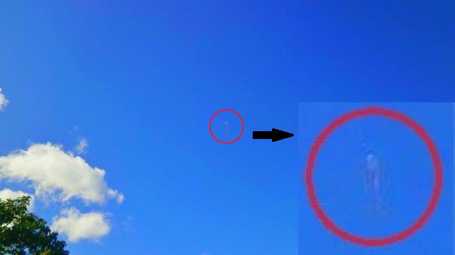 AlleraReyKite2.jpg