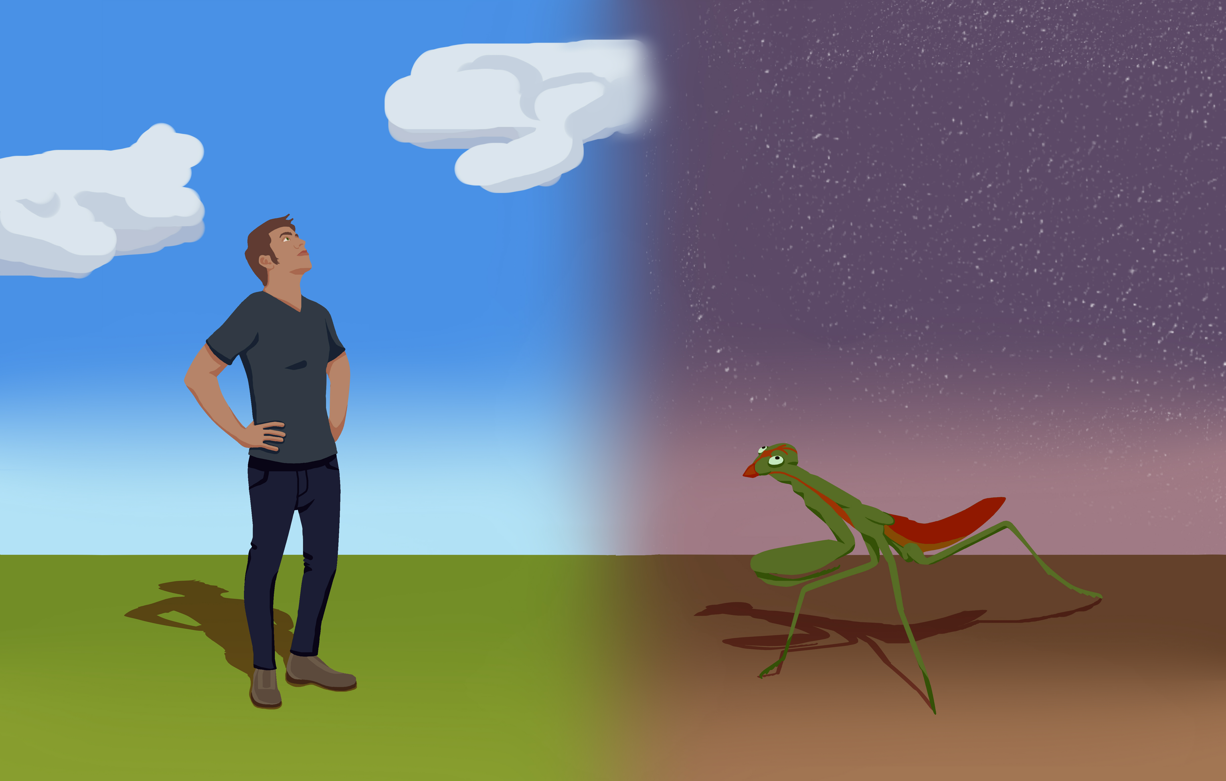 MANTIS