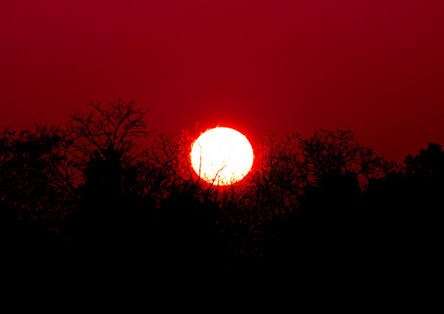 sun.jpg
