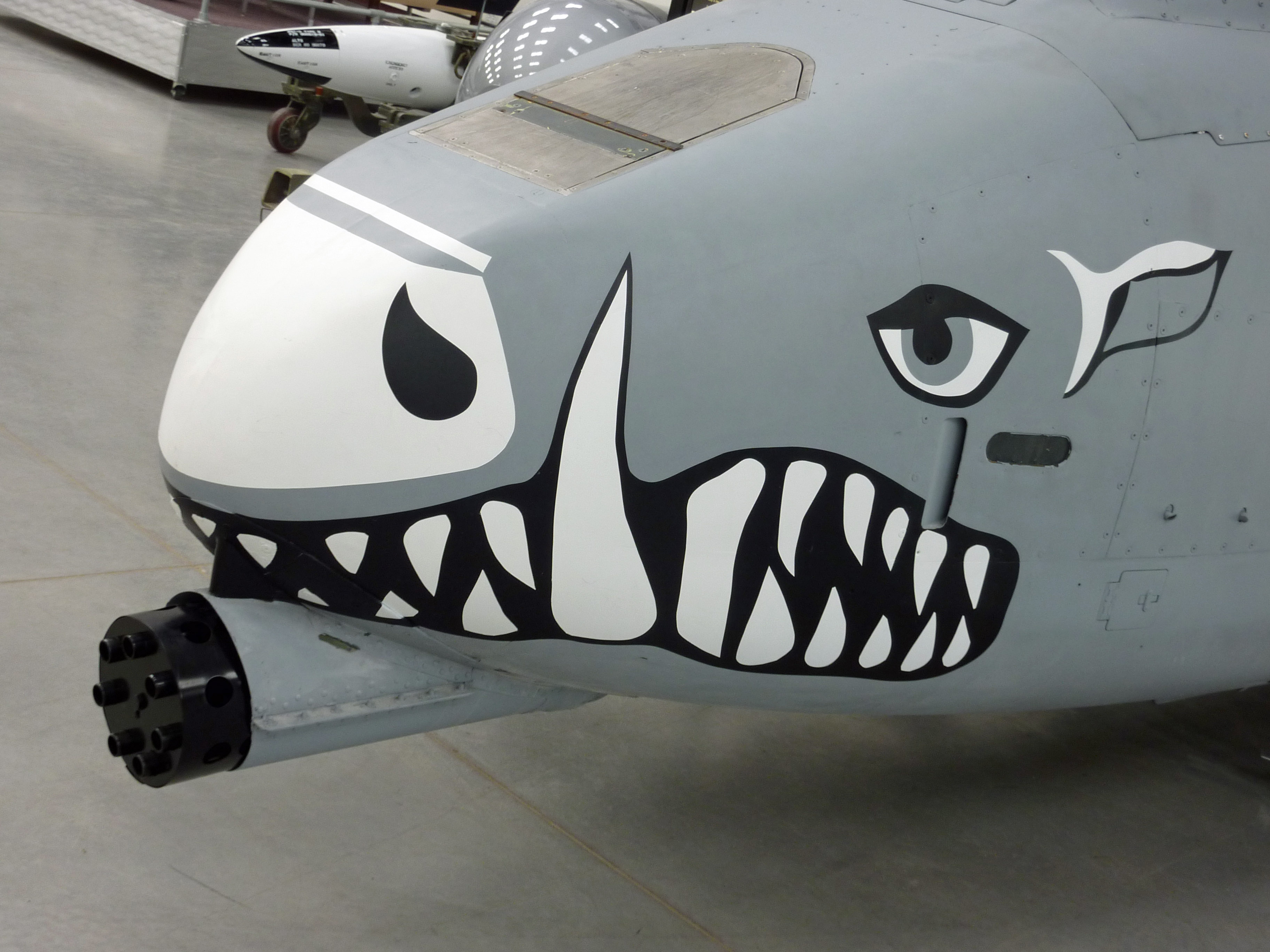 Gun_under_the_nose_of_an_A-10_Thunderbolt.jpg