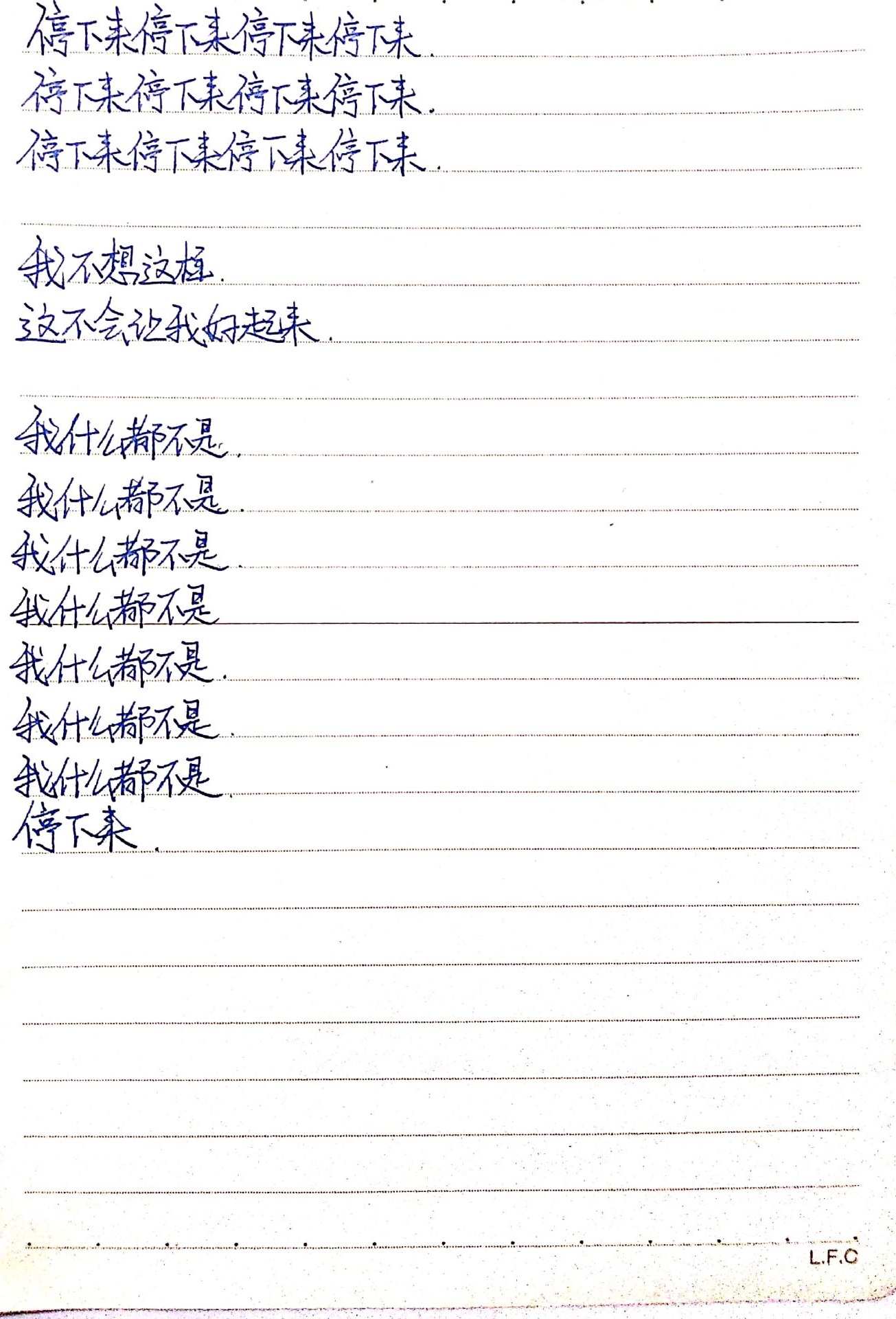 document5