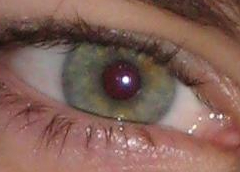 eye3.jpg