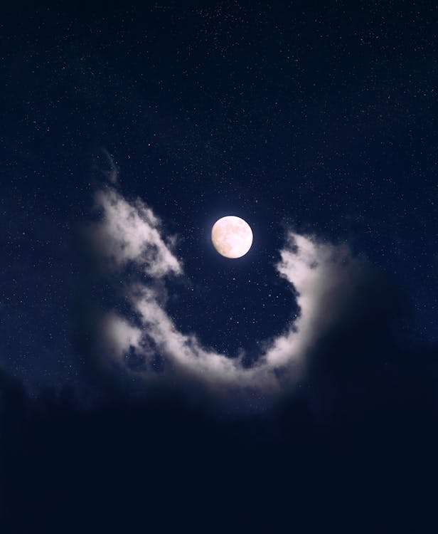 moon-monkey