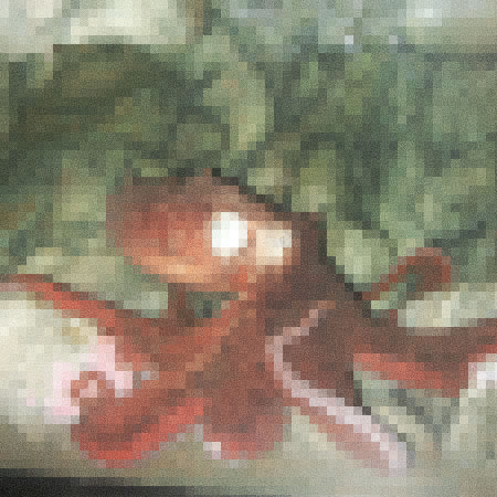aquarium.jpg