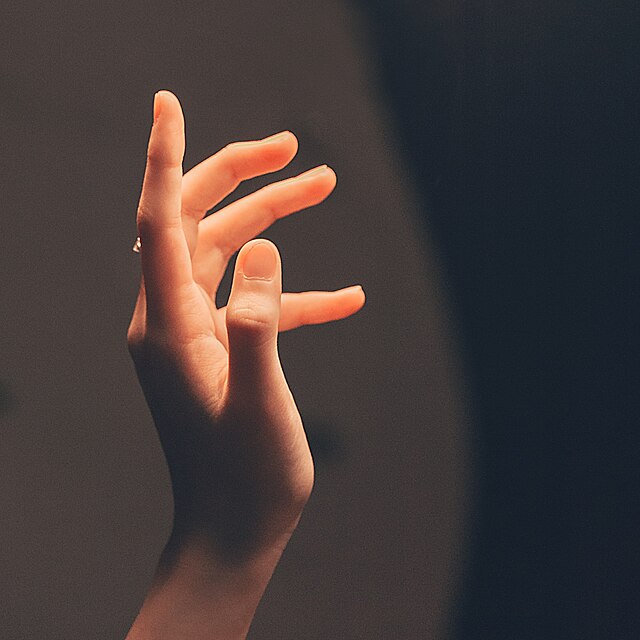 Hand_Model.jpg