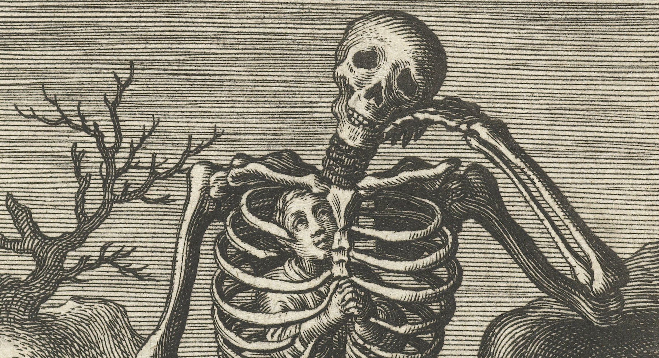 SkelCage.jpg