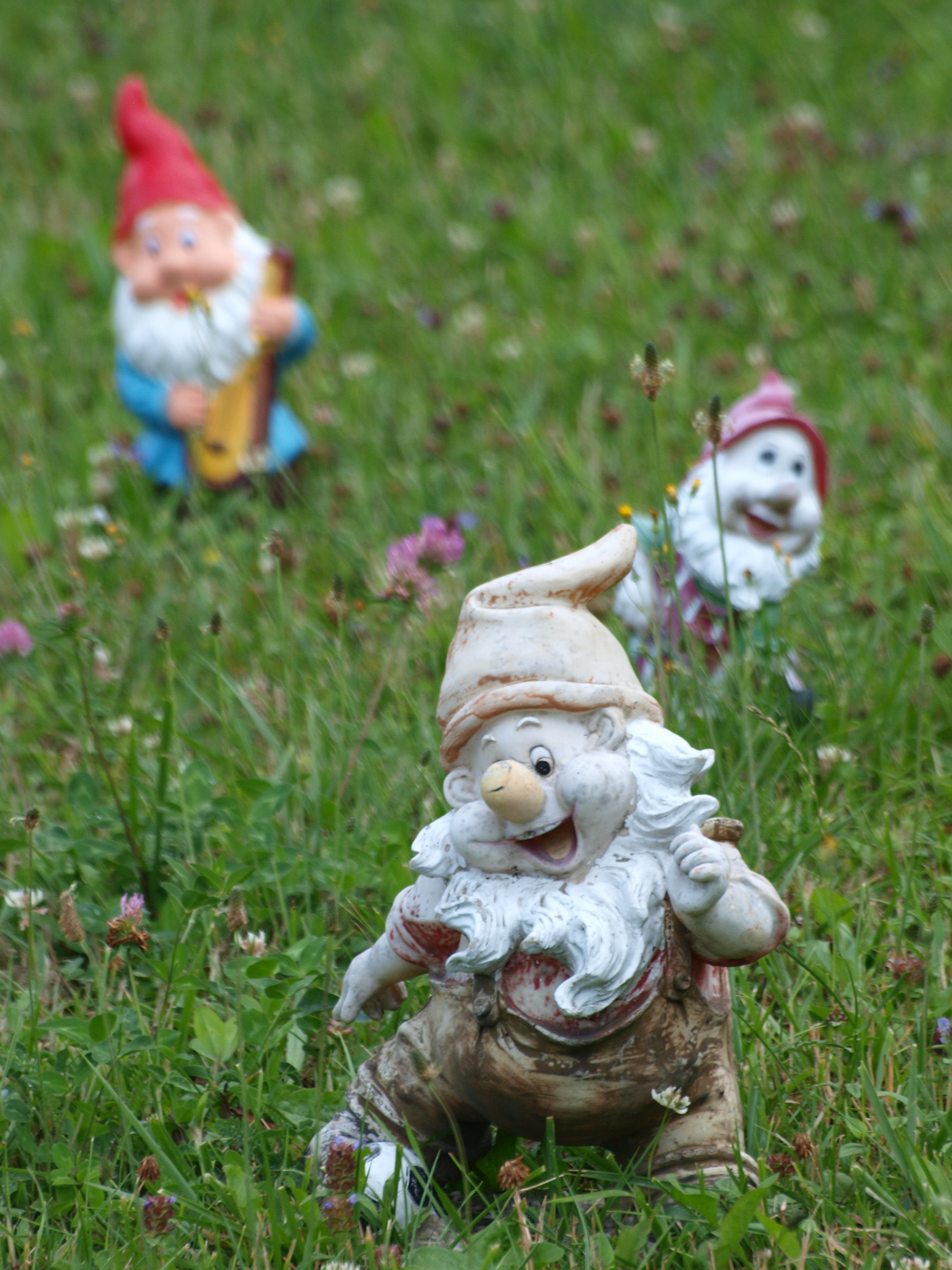Gnomed.png