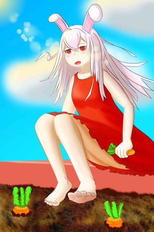 rabbit.png