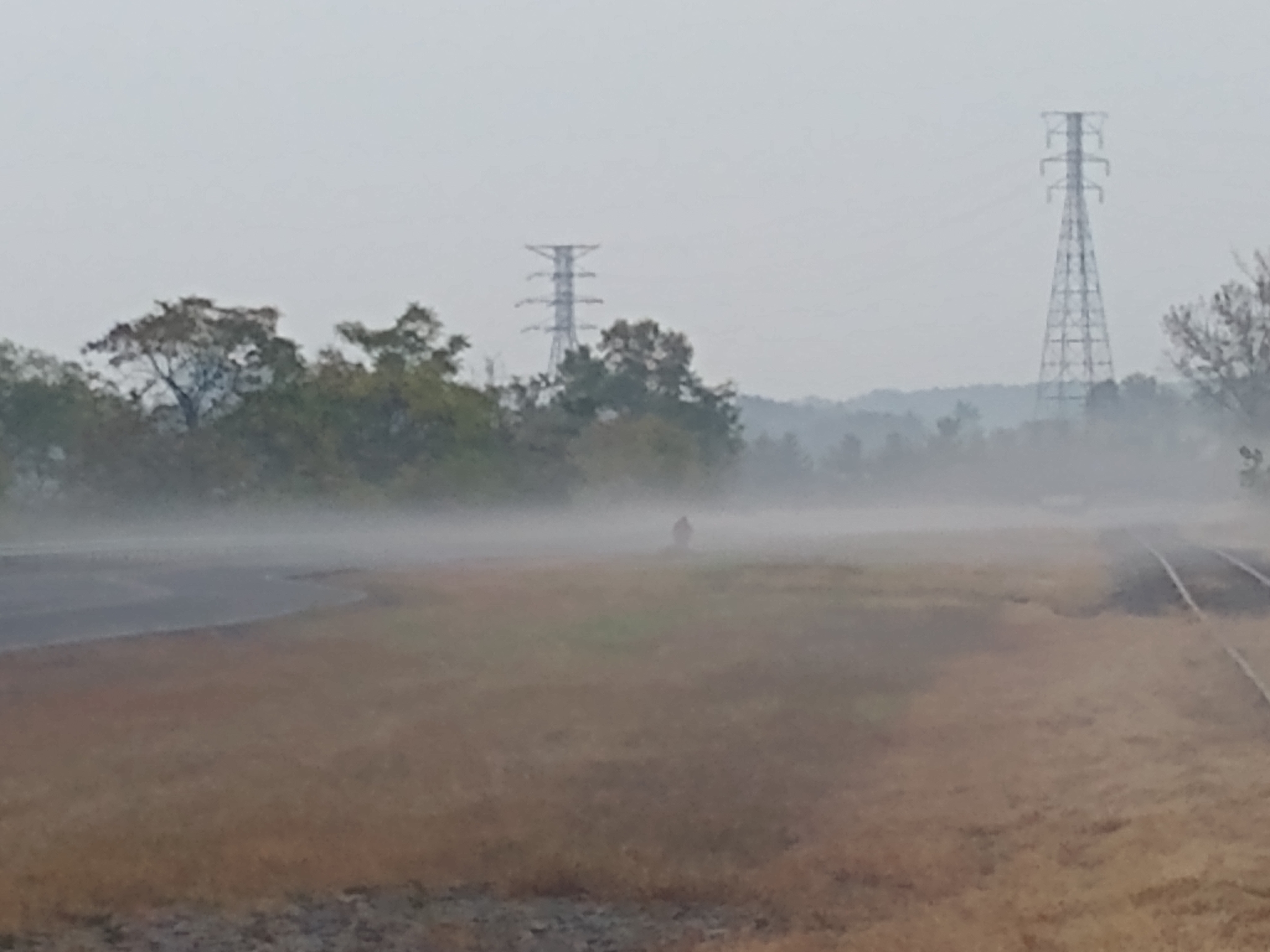 fog2.jpg