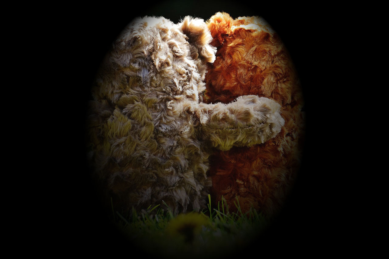 teddy-1361397_1281.jpg