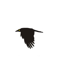 fly4.png