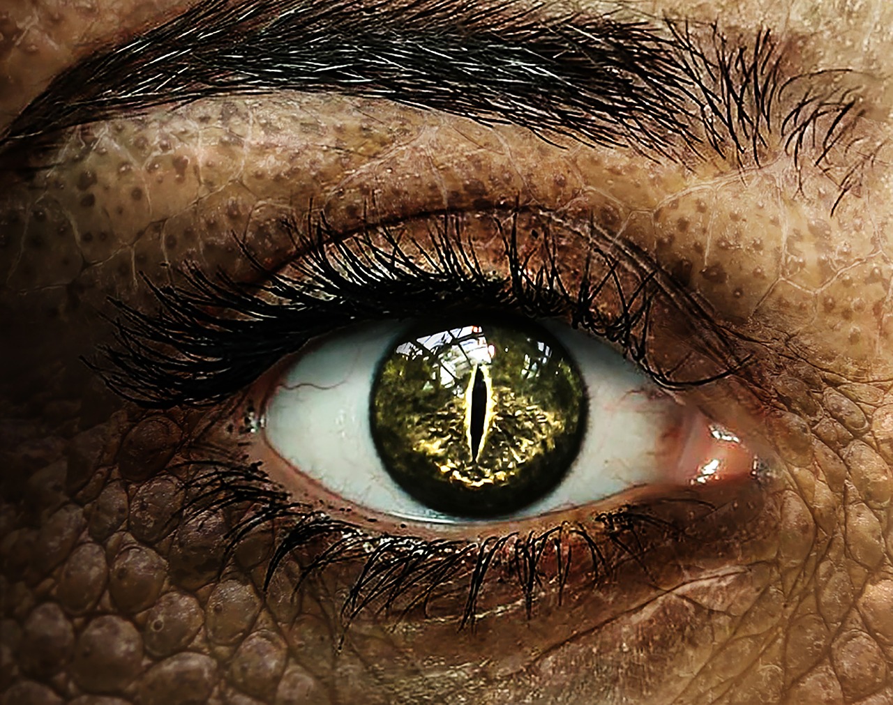 eye