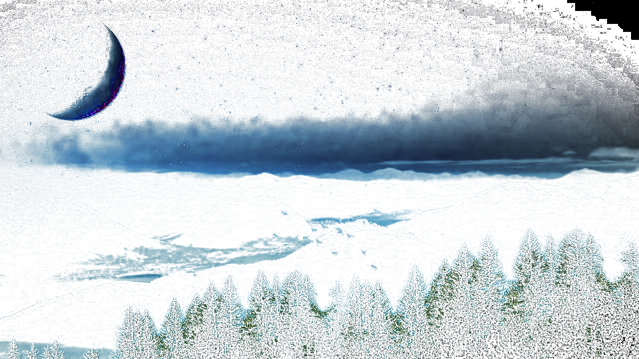 NightForest_modified.png