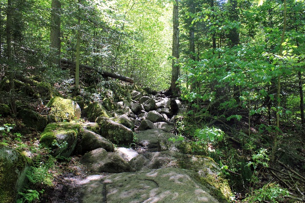 GoodFreePhotos.com_2.jpg