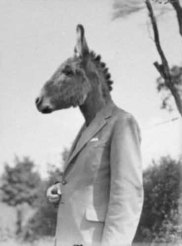 donk.jpg