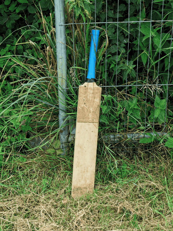 cricket.png