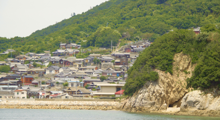 d7.jpg