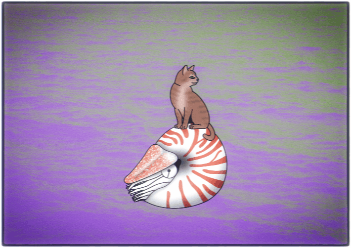 a_cat_on_a_nautilus.gif