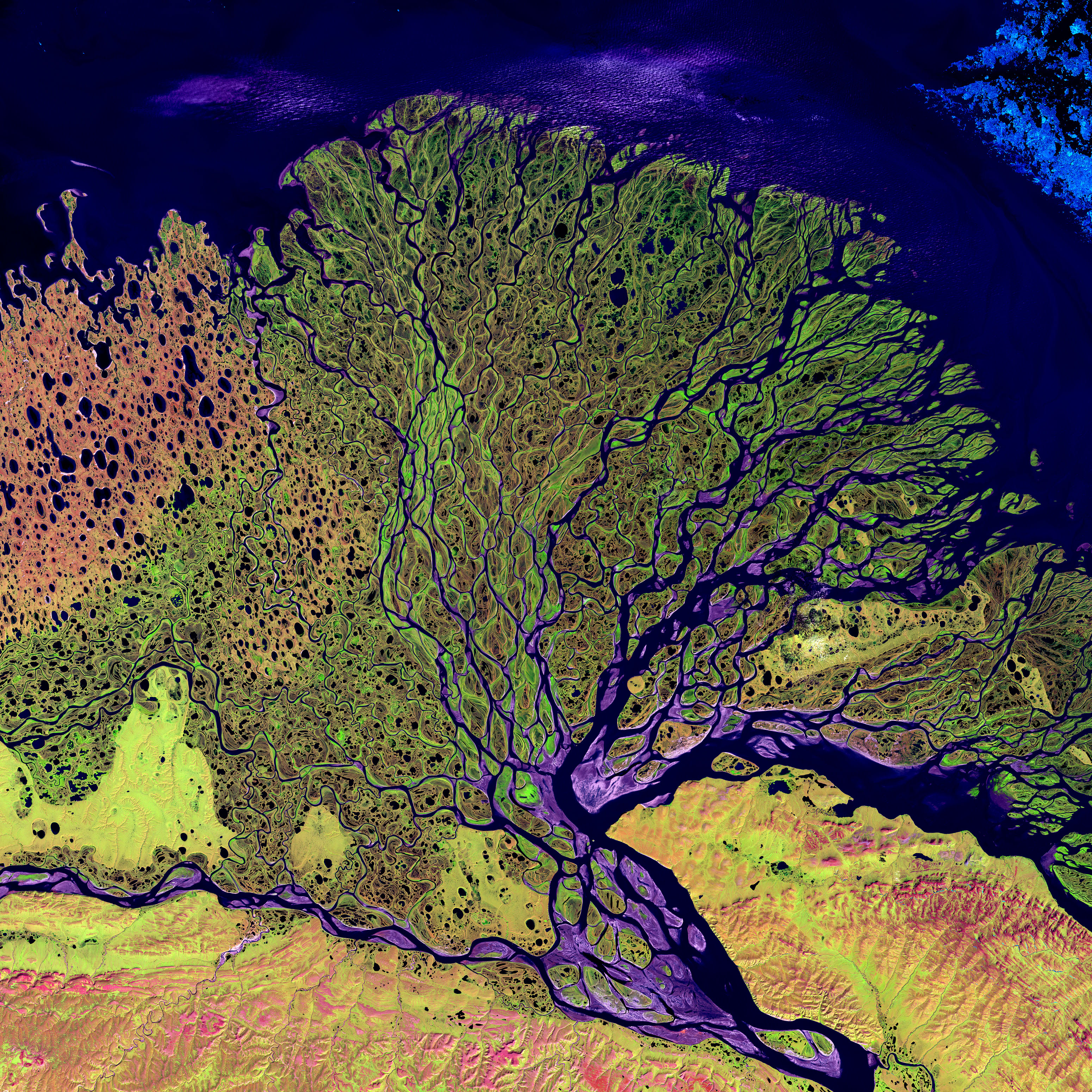 Lena_River_Delta_-_Landsat_2000.jpg