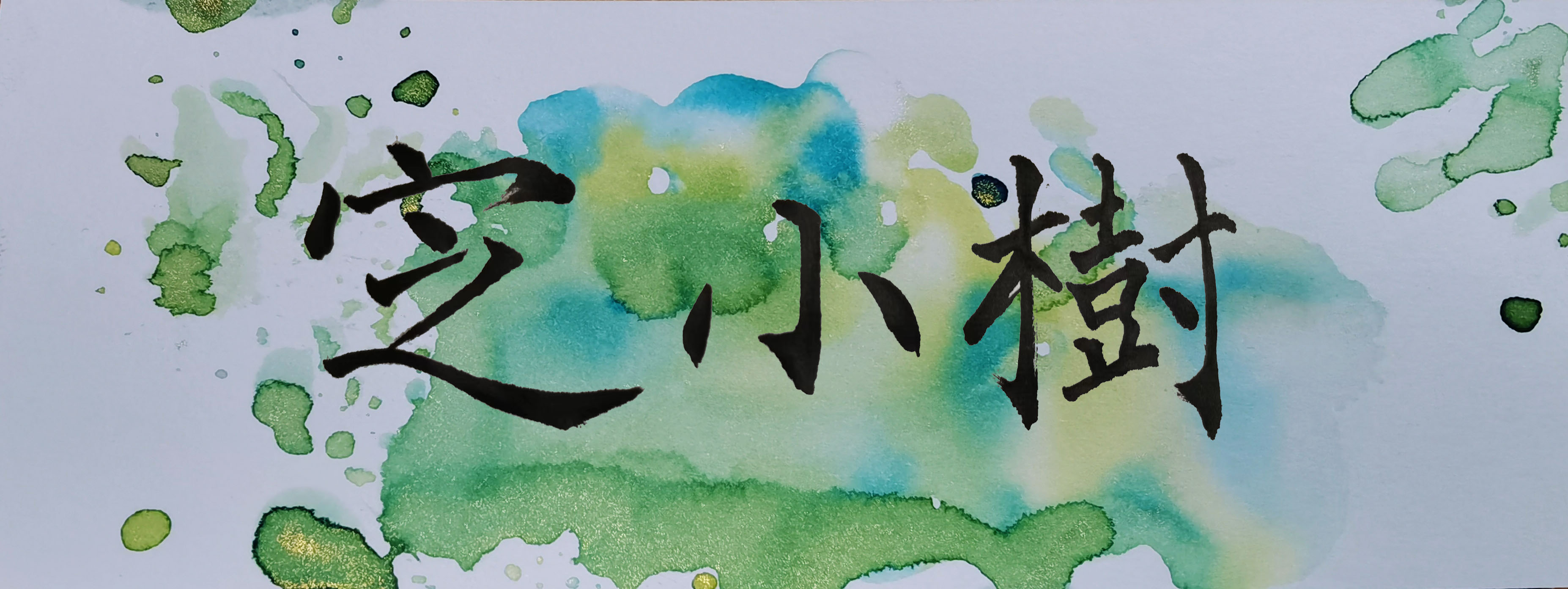 小树.jpg