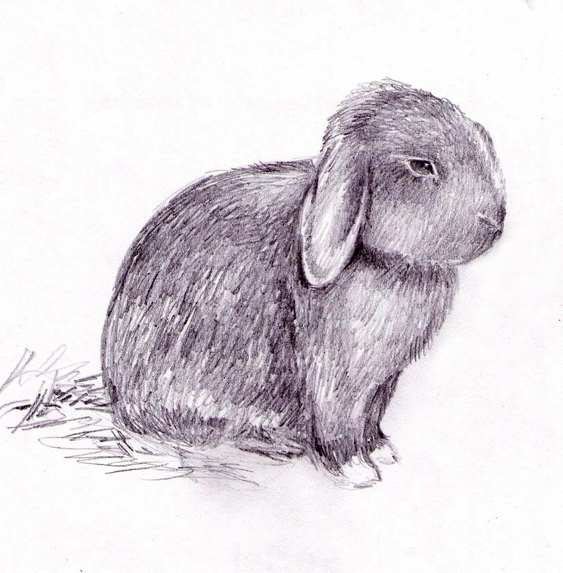 Sketch_Clovis.jpg
