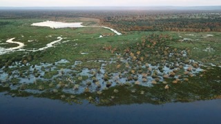 Marshlands