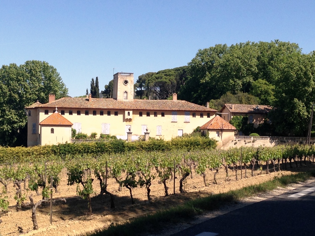 vineyard.jpg
