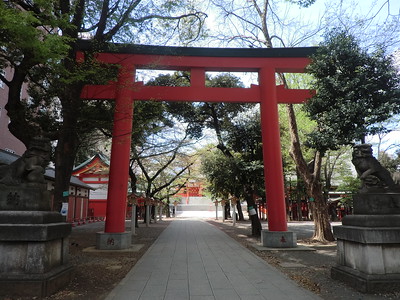 scp-224-jp.jpg