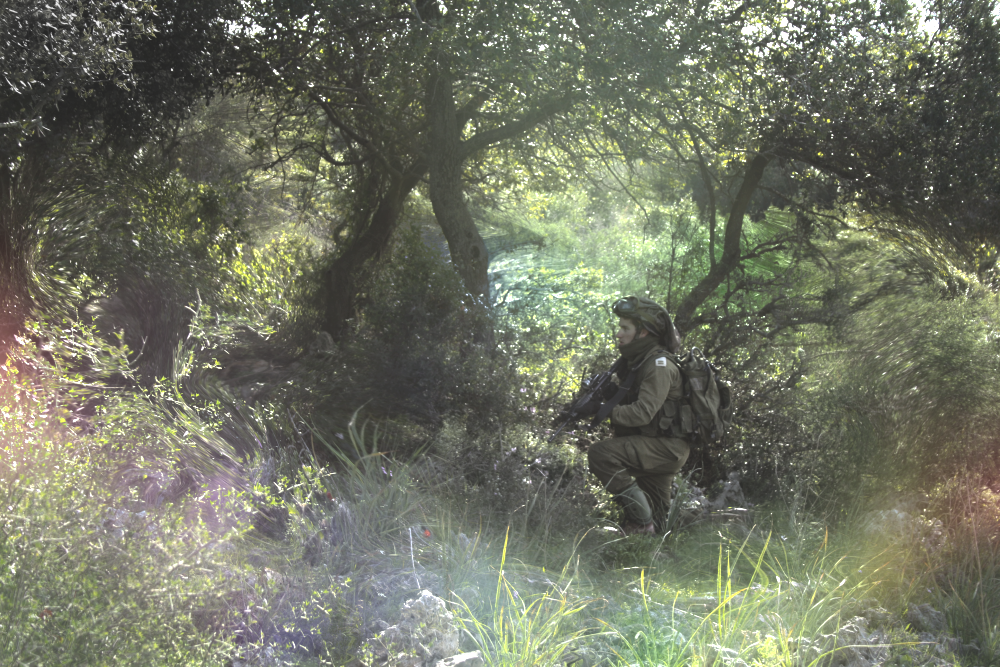 forest2.png