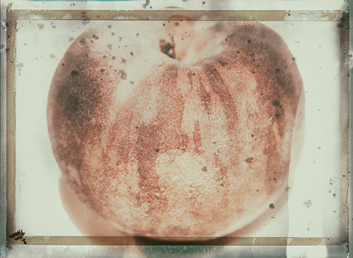 peachphoto.png