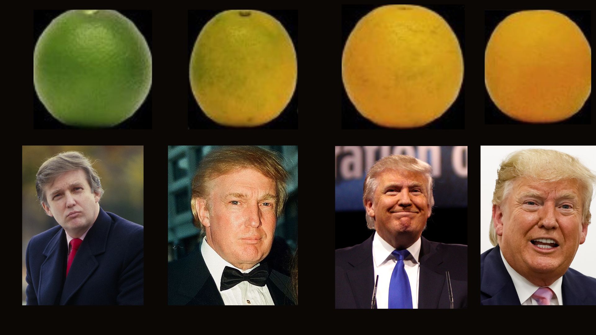 fruit.jpg
