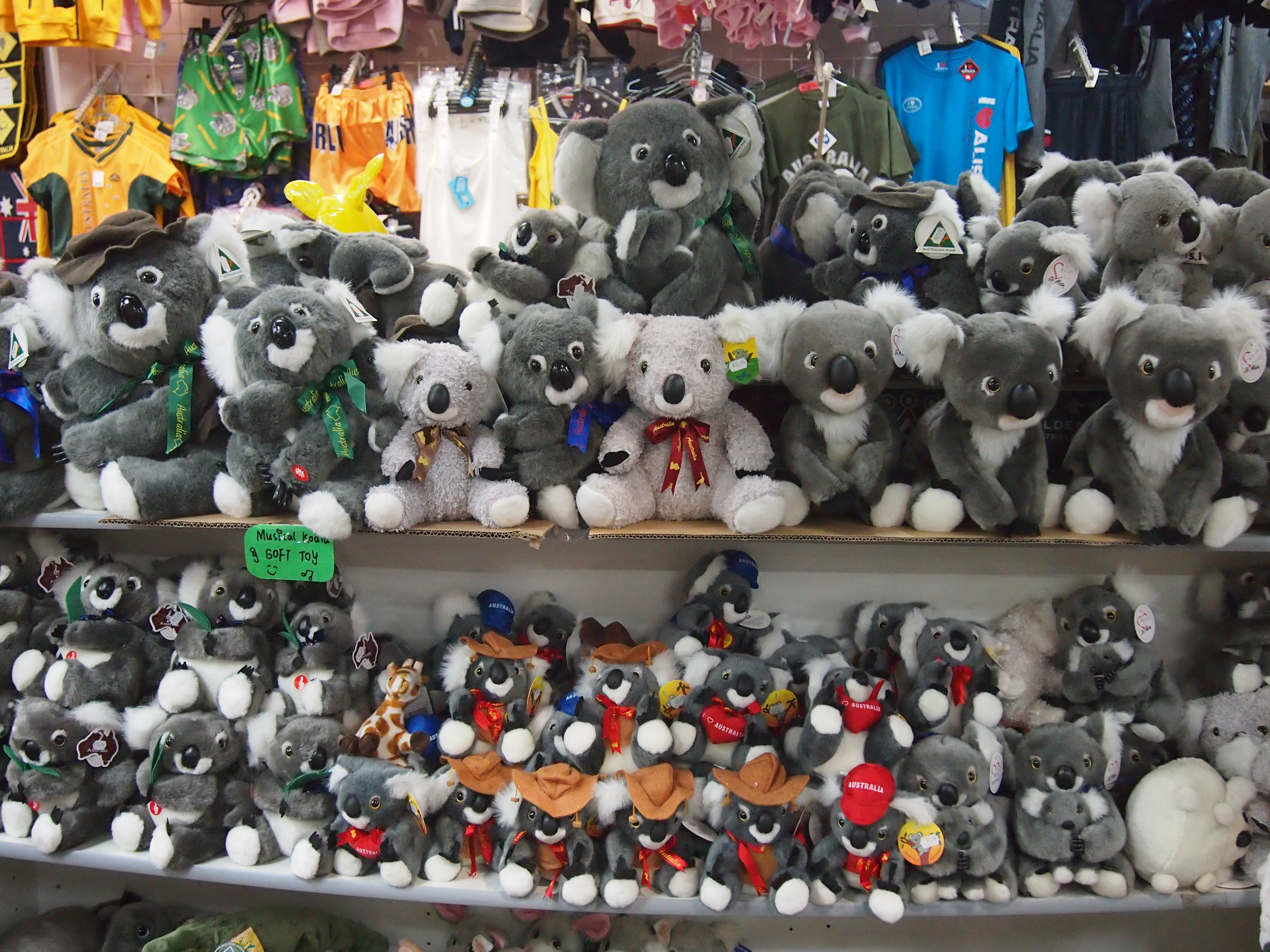 Koala_souvenirs.jpg