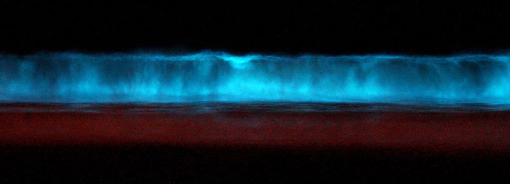 ectowave.jpg