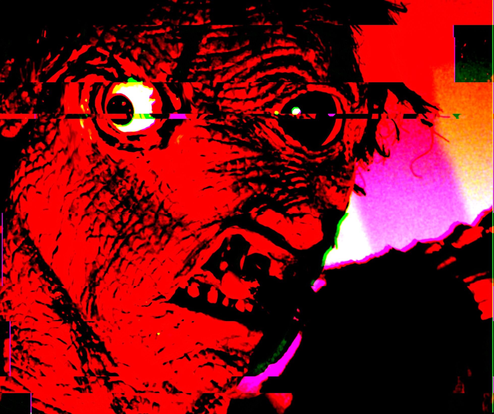 two-eyes-cyclops.jpg