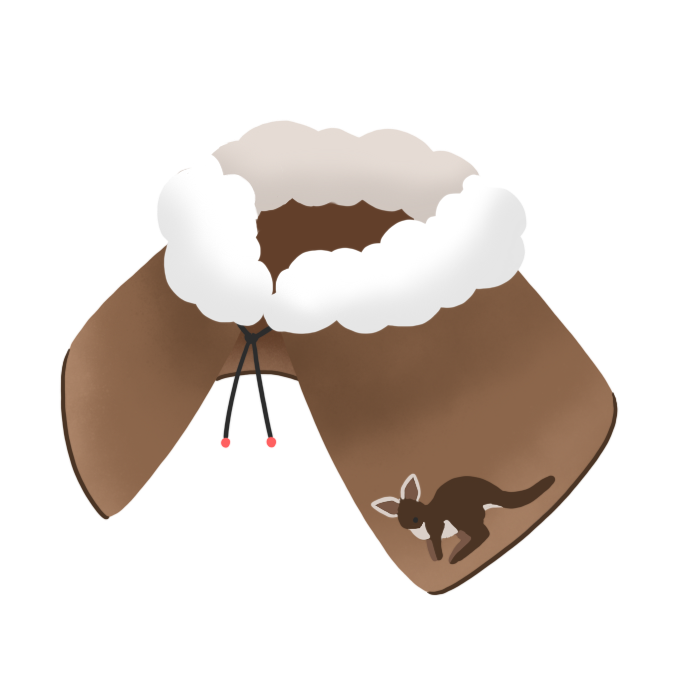袋鼠的皮衣.png