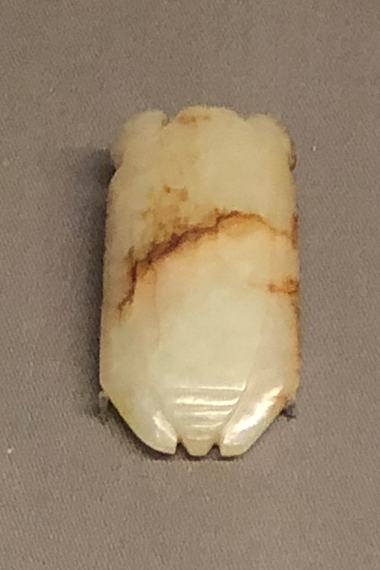 玉蝉_ZNQ.jpg