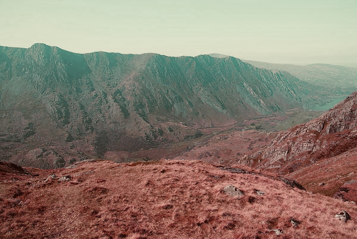 7020 landscape.jpg