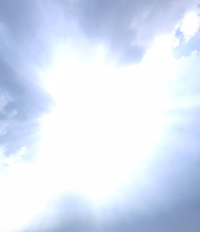 mmexport1727835135405.jpg