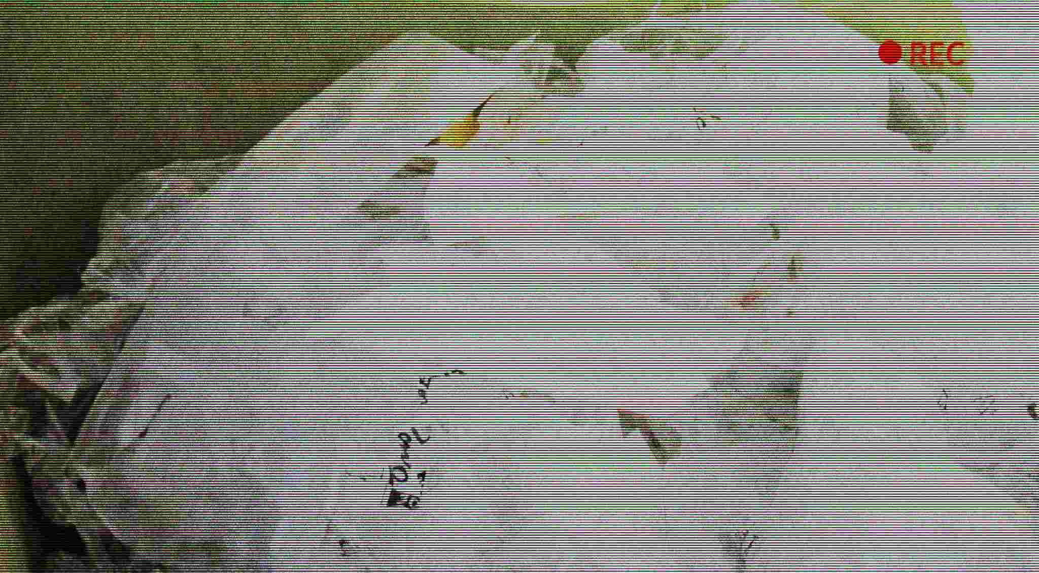 rubbish-.jpg