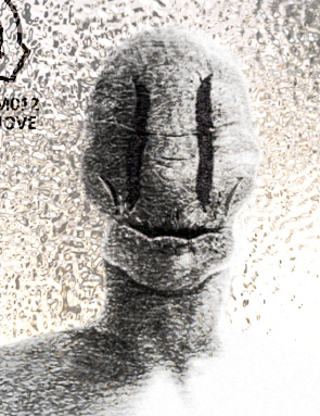 DougReal.jpg