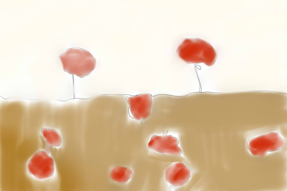 poppies3.jpg