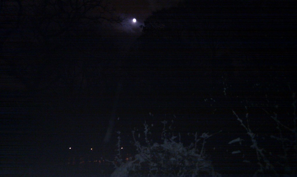 moonsnow.jpg
