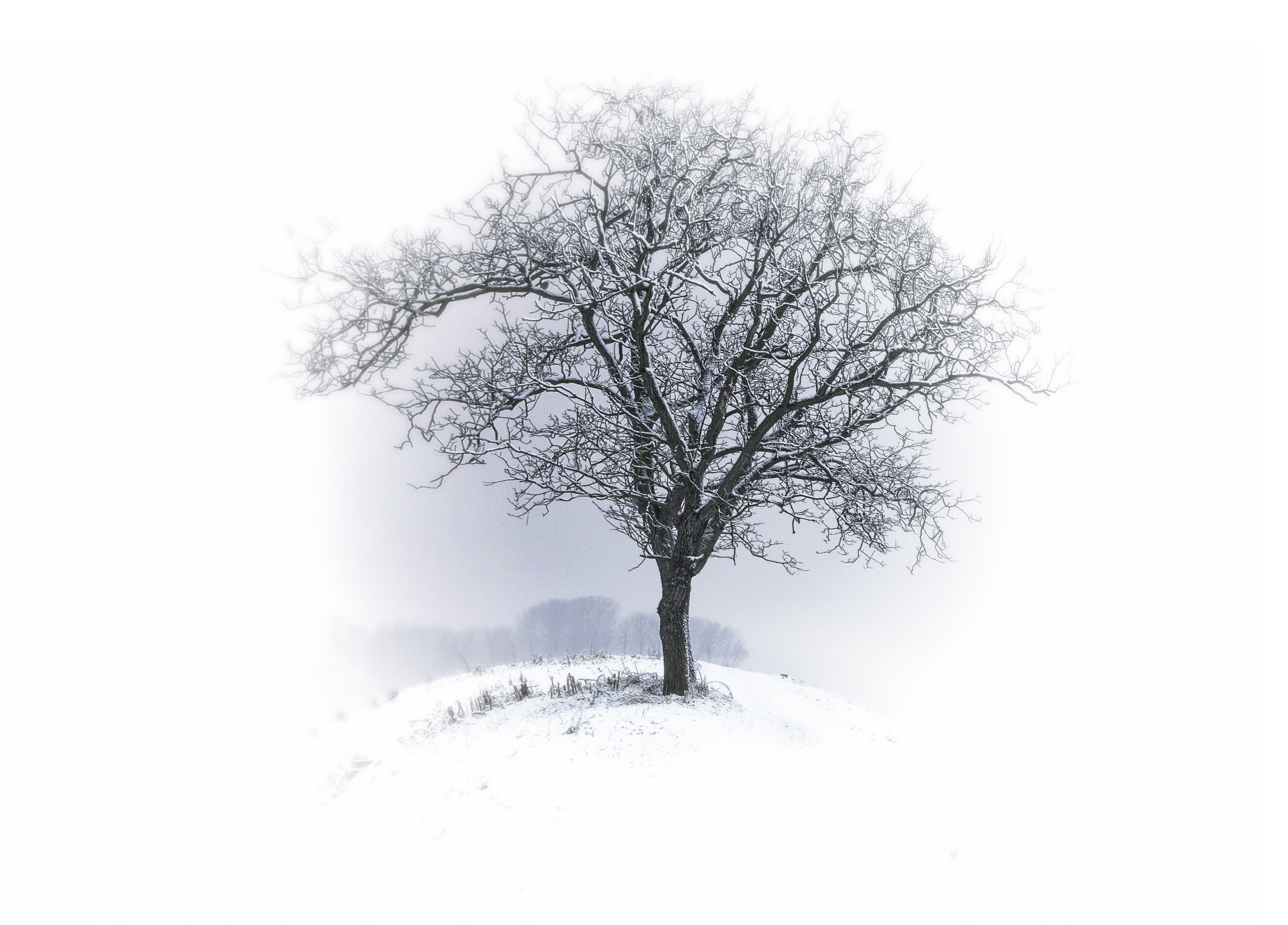 Snow.jpg