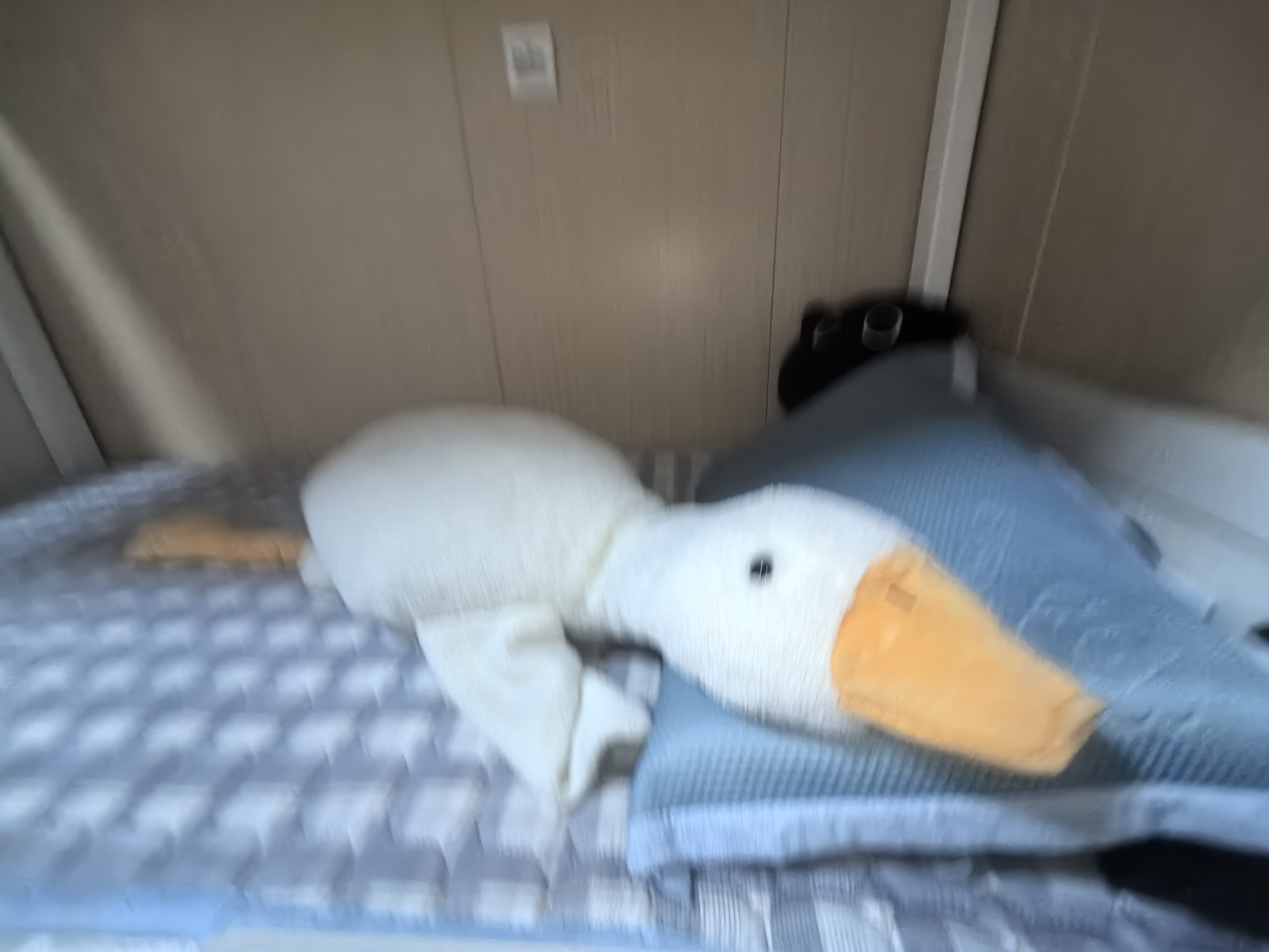 胖白鹅